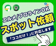 LINE公式アカウントのスポット相談に対応します