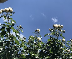 あなたのお話しお聞きます イメージ1