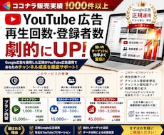 YouTube広告運用｜再生回数・登録者増やします 【伸びない原因を特定】YouTubeを本気で伸ばします