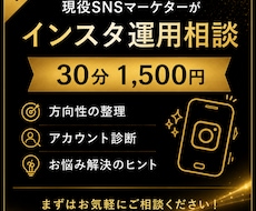 現役SNSマーケターがインスタ運用相談に乗ります 投稿内容・方向性・お悩みを30分で一緒に整理します