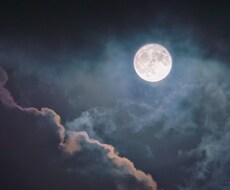 あなたが今存在する理由、宿命を宇宙からお伝えします 未来のあなた様からの今必要な言葉をみえたままお伝えします