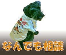 愛犬なんでも相談！悩み解決等アドバイスいたします 愛犬も飼い主さんも笑顔で暮らせるお手伝い