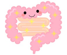腸が狂うと人生が狂う！腸内環境改善を教えます イメージ1