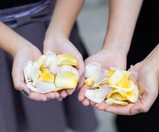 心の悩みを吐き出してみませんか？私がお聴きします イメージ1