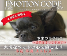 ペット囚われた感情★ワンコイン★でやさしく整えます イメージ1