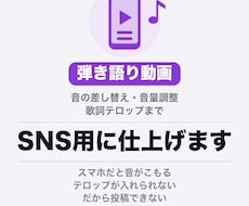 弾き語り動画をSNS用に仕上げます イメージ1