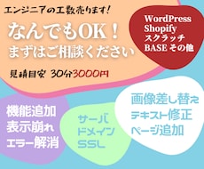 なんでもOK！【修正/カスタマイズ/他】ます 30分2000円でエンジニアの工数売ります！