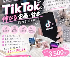 TikTokの伸びる企画・台本作ります TikTok初心者さん向け投稿ネタから台本まで一緒に考えます