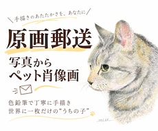 原画郵送：写真からペット肖像画を色鉛筆で描きます 大切な「うちの子」を、世界に一枚だけの手描き作品に