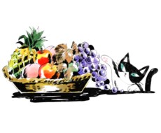 イラストかきます あなたのイメージをお聞かせください。