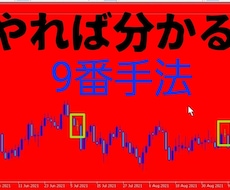 やれば分かる! 9番します 今も尚使用中の手法のため、これ以上の値下げ交渉は無理
