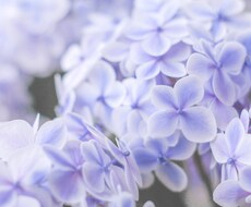 シンプルにYesかNoかお答えします 質問2問つ、アドバイスなしのお試しメニュー！