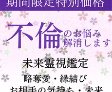 未来霊視による不倫鑑定/良い未来へ導きます 【11月特別価格】不倫  略奪愛 Ｗ不倫 離婚 叶わぬ恋