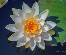 あなたの前世を観ます イメージ1