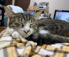 女性クリエイターがオリジナルムービーを制作します イメージ1