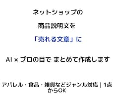 ネットショップの商品説明文を作成します イメージ1