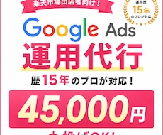 歴15年のプロがGoogle広告運用代行します イメージ1