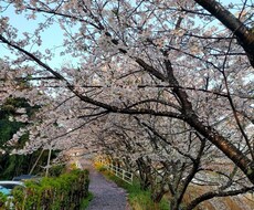 中堅会社員、現場監督の方の悩みを共有し支援します イメージ1