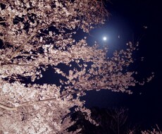 悩み相談、お受けします。一緒に解決への道を考えます イメージ1