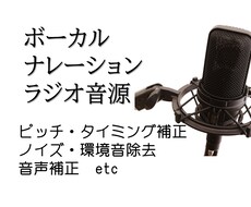 ボーカル・ナレーションなどの音声補正を致します イメージ1