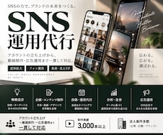 インスタ・TikTokの運用を丸ごと代行します イメージ1