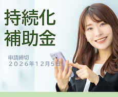 小規模事業者持続化補助金の計画書を作成・添削します 補助金サポート歴10年、毎回10～20社程度のお客様が採択