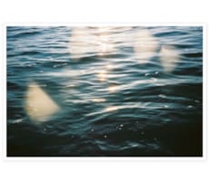 お試し1分でもOK♫おはなしききます ココだけの話、気軽におかけください。