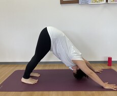 頑張らないヨガオンラインレッスンします ヨガが気になるけど敷居が高いと感じておられる方へ