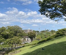背景の不要なもの消します イメージ1