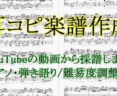 音源から正確な楽譜・採譜データを制作します イメージ1