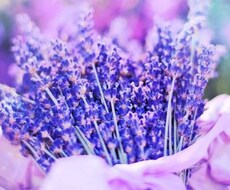 霊感によって気になる悩み、占います イメージ1