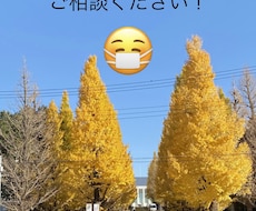 30代女性救急医が相談のります イメージ1