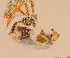 写真から描くオイルパステル画ペットの似顔絵描きます 原画郵送＆SNSで使えるデジタルデータ付き、一発描き）