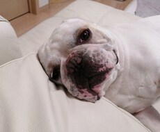 気軽に話してみませんか？心のモヤモヤ聞きます イメージ1