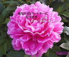 チャットで3日、友達、彼女、何にでもなります イメージ1