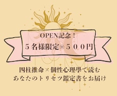 四柱推命×個性心理學★あなたのトリセツ作成します イメージ1