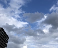 自作レシピの栄養価計算いたします イメージ1