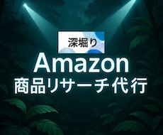 深堀り Amazon 商品リサーチ代行します EC歴が長く、浅いリサーチでは物足りないと感じる方へ
