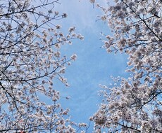 話し相手になります　愚痴聞きます イメージ1
