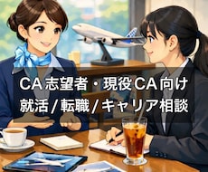 1週間質問し放題！元CAが就活や転職相談に乗ります イメージ1