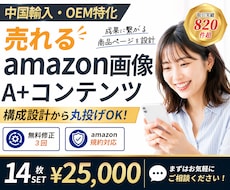 売れるamazon商品画像/A+を丸ごと制作します 【中国輸入・OEM特化】魅力が伝わる商品ページを構成から提案