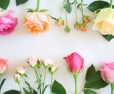 そのお悩みから脱出！トーク、メール相談お受けします 人生相談・婚活・仕事・人間関係答えが出ない悩みをご相談下さい