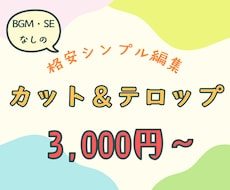 格安シンプル編集|カット&テロップのみ承ります イメージ1