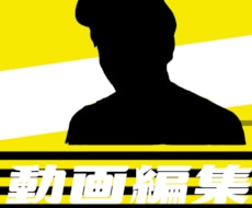 動画編集、低価格、半日で納品します 納期は半日！テロップ・カット・SE全部やります！
