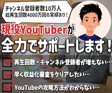 現役YouTuberがコンサルティングします チャンネル登録10万人・総再生回数4000万回の実績あり