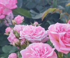 復縁経験あります。幸せになるためにお手伝いします イメージ1