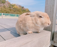 5分だけでもおっけー！話し相手になります なんとなく誰かと話したいときありませんか？