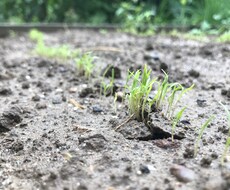 頑張るママと子どもに寄り添います イメージ1
