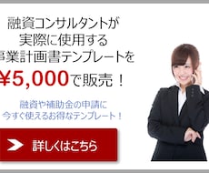 プロが使用する事業計画書雛形一式を販売します 資金調達専門コンサルタントが使用する事業計画書テンプレート