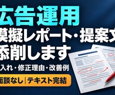 広告運用の模擬レポート・提案文を添削します イメージ1